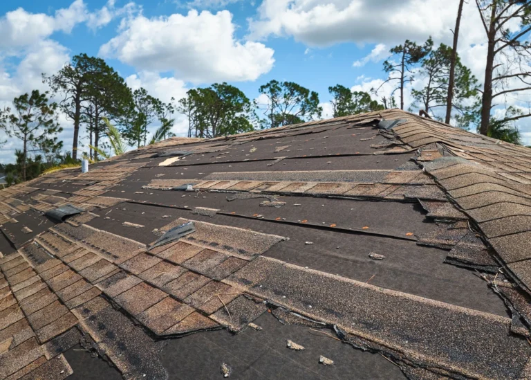 Leak Detection and Roof Repairs